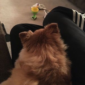 Meet your Posher, James